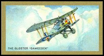 2 The Gloster Gamecock